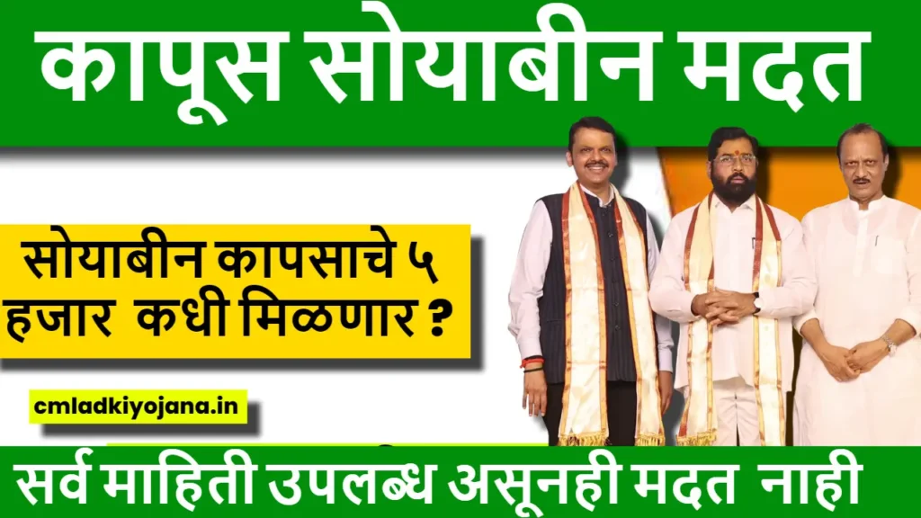 Cotton Soybean Madat : सगळी माहीती असताना सरकार हेक्टरी ५ हजार रुपये का देत नाही? 2 Cotton Soybean Madat : सगळी माहीती असताना सरकार हेक्टरी ५ हजार रुपये का देत नाही?