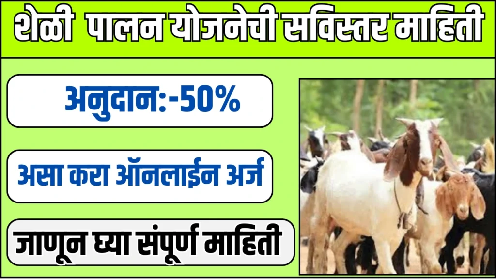 Sheli Palan Yojana 2025:शेळी पालन योजनेची सविस्तर माहिती 2 Sheli Palan Yojana 2025